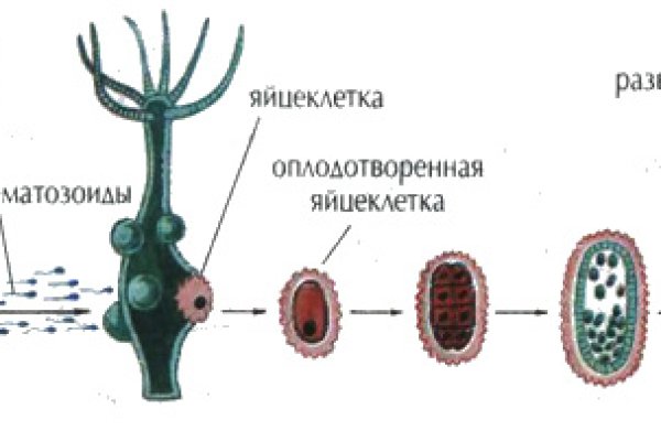 Кракен ссылка тор браузер