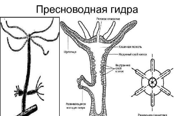 Kraken зеркала маркетплейс