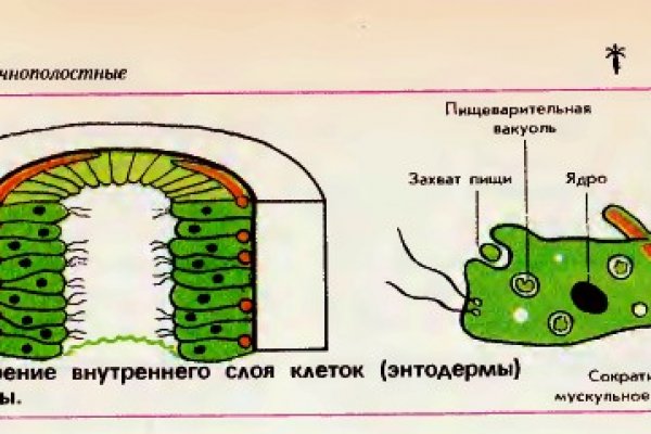 Кракен площадка торговая kr2web in