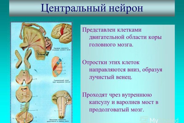 Кракен купить наркоту