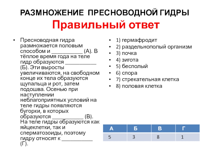 Кракен зеркало на тор